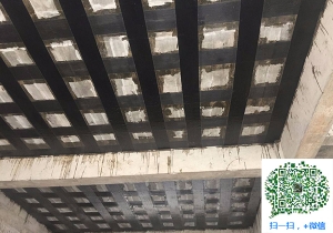 新抚厂房碳纤维加固